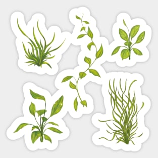 Green Plants Collection Sticker